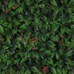 Siepe Artificiale PHOTINIA cm 50x50 in mattonelle