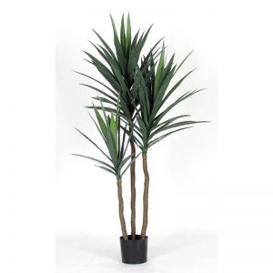 Dracena Artificiale Yucca Verde H. 152 cm